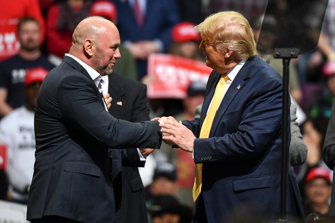 dana white