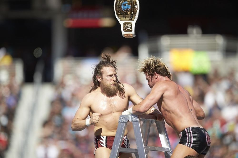 WWE ladders 