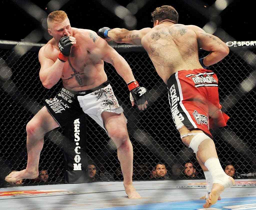 UFC 100: Lesnar vs. Mir