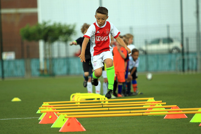 Aspects of Physical Fitness in Soccer