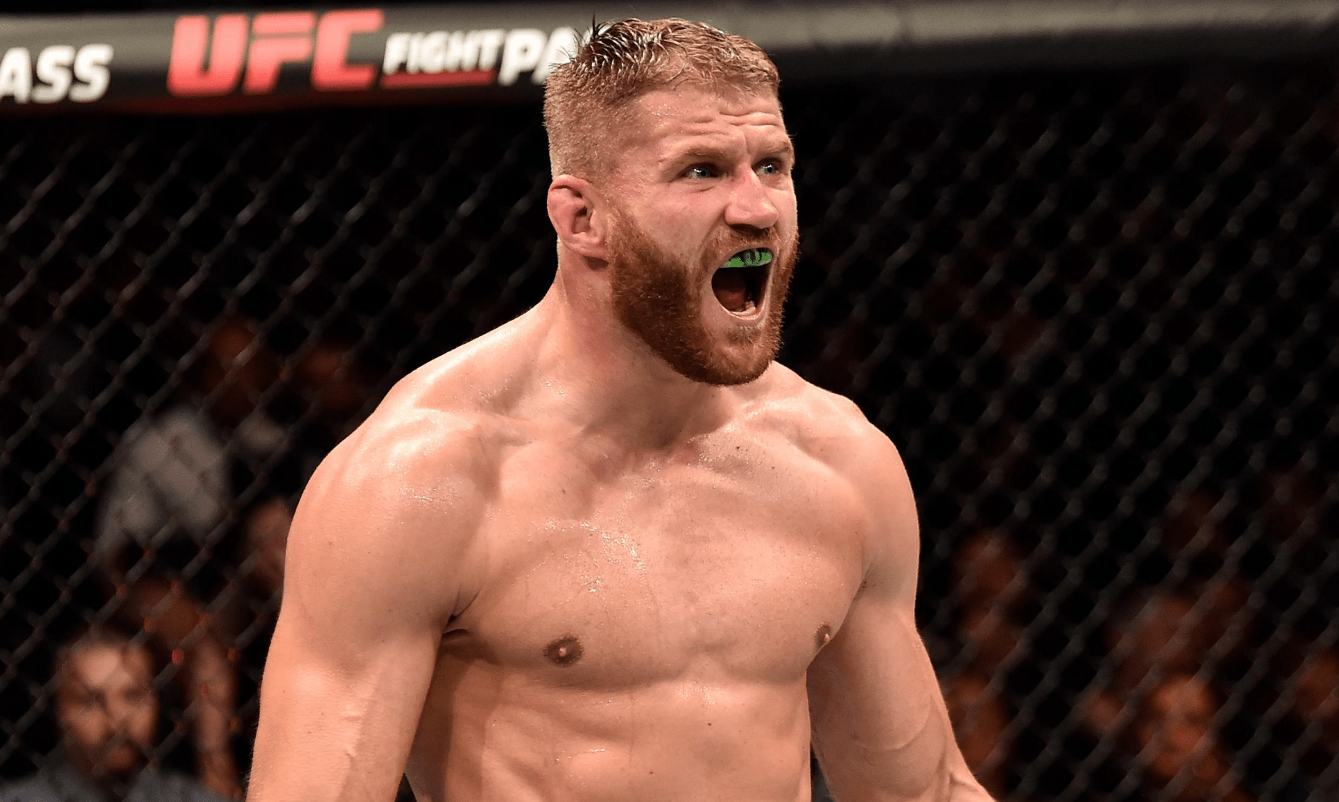Jan Blachowicz