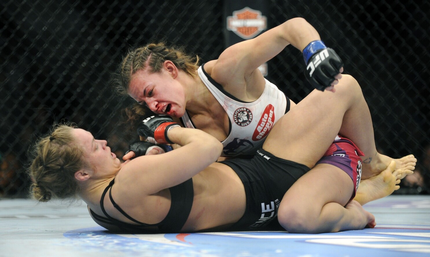 Miesha Tate Career Earnings 