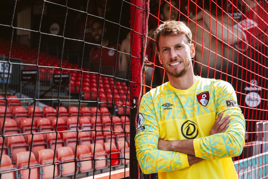 Neto contract details