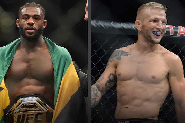 Aljamain Sterling vs TJ Dillashaw