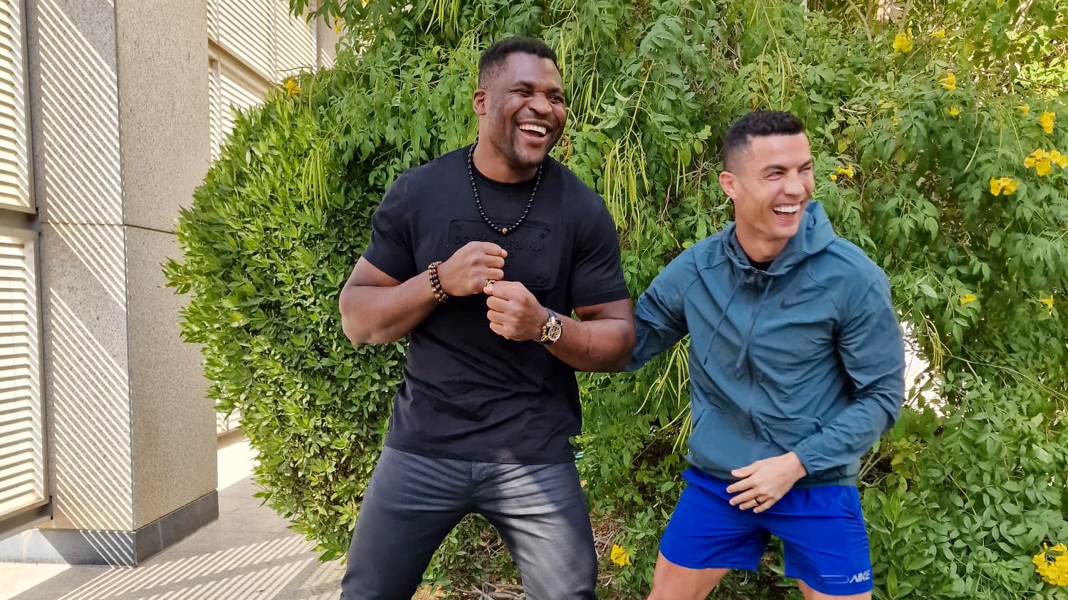 Francis Ngannou