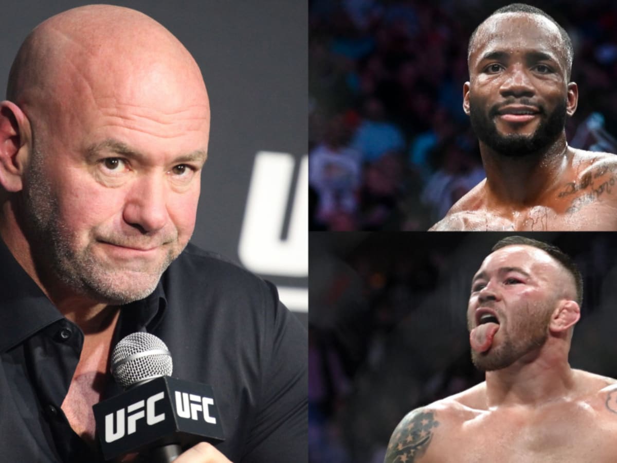 Dana White