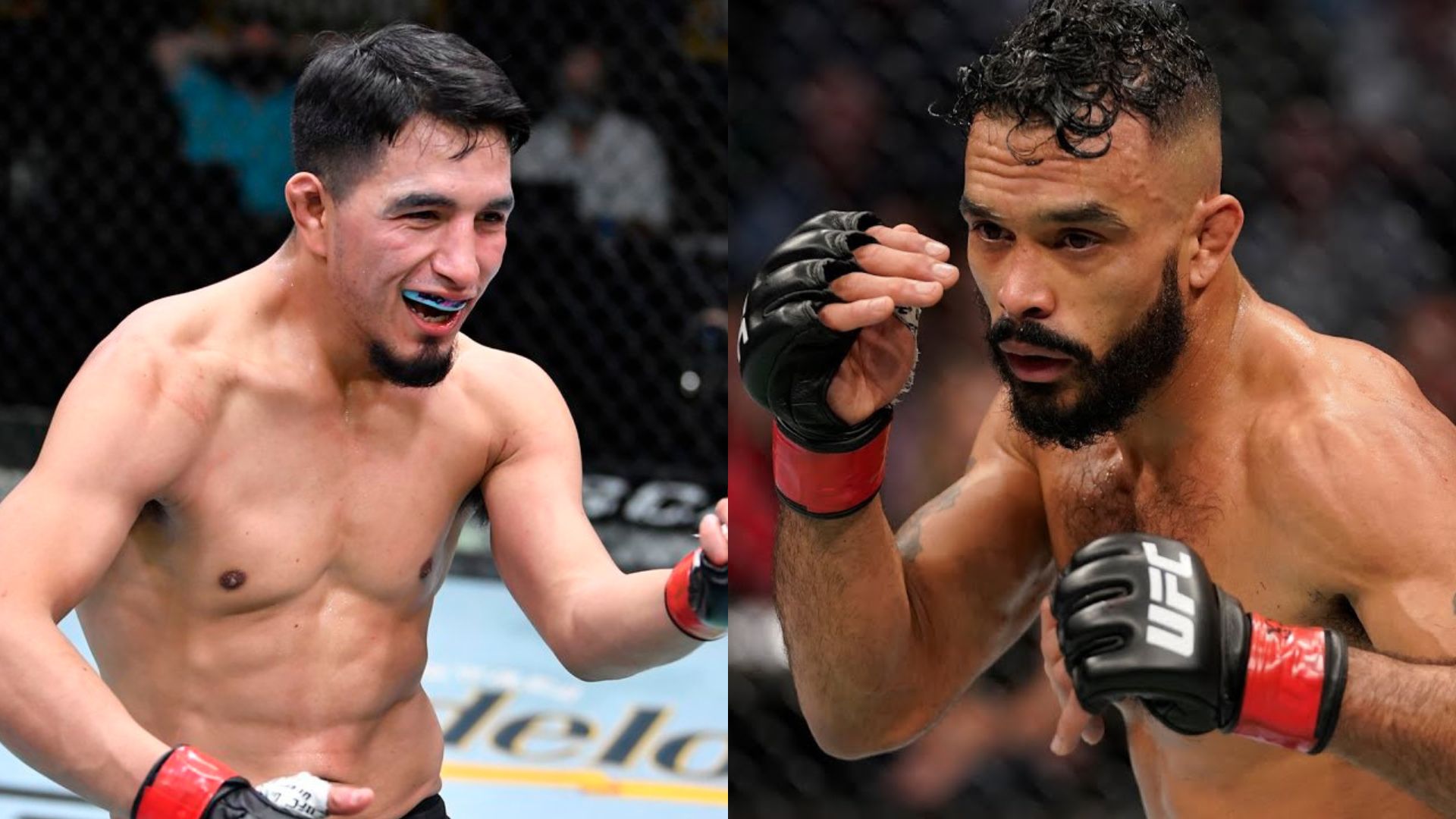 Rob Font inside the octagon
