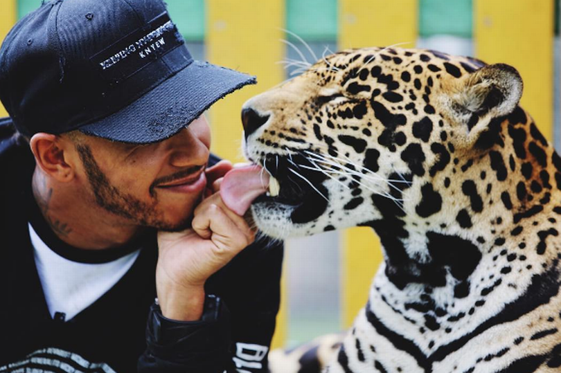 Lewis Hamilton