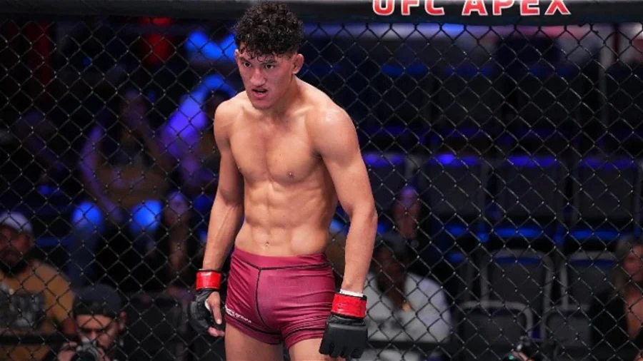 UFC 287