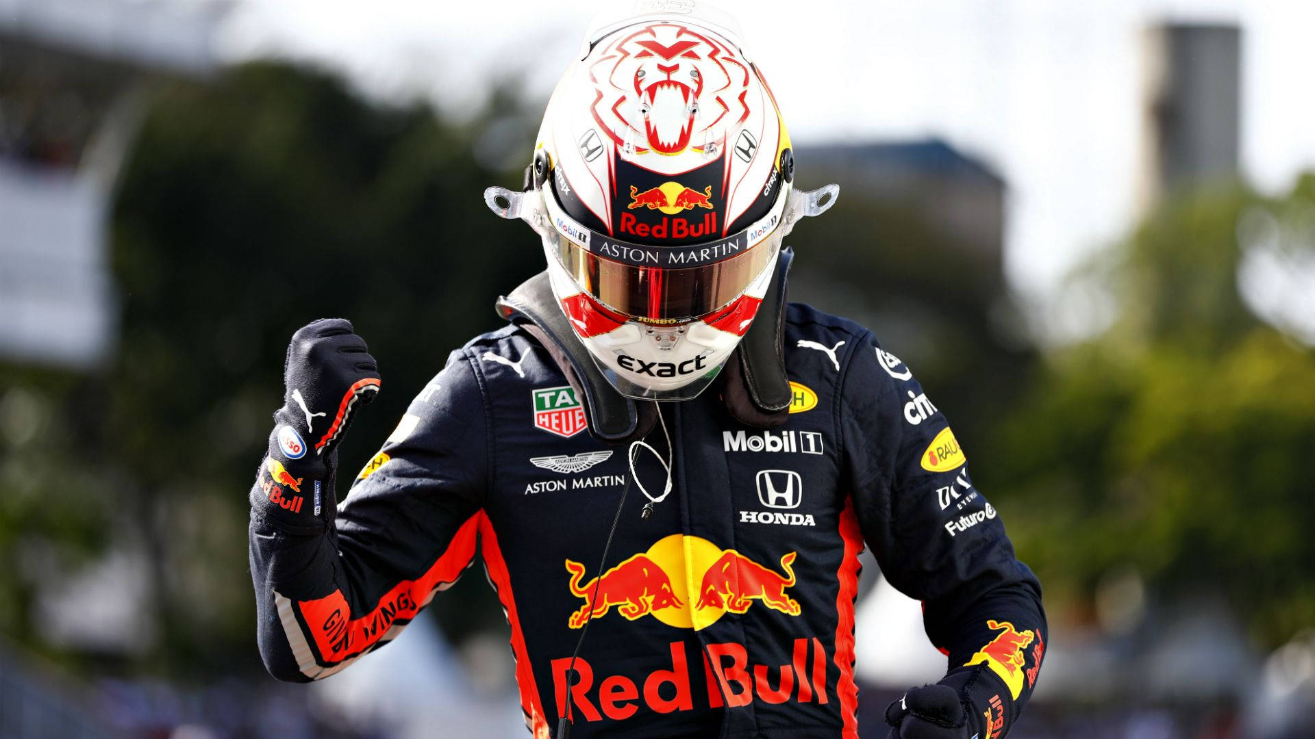 Max Verstappen