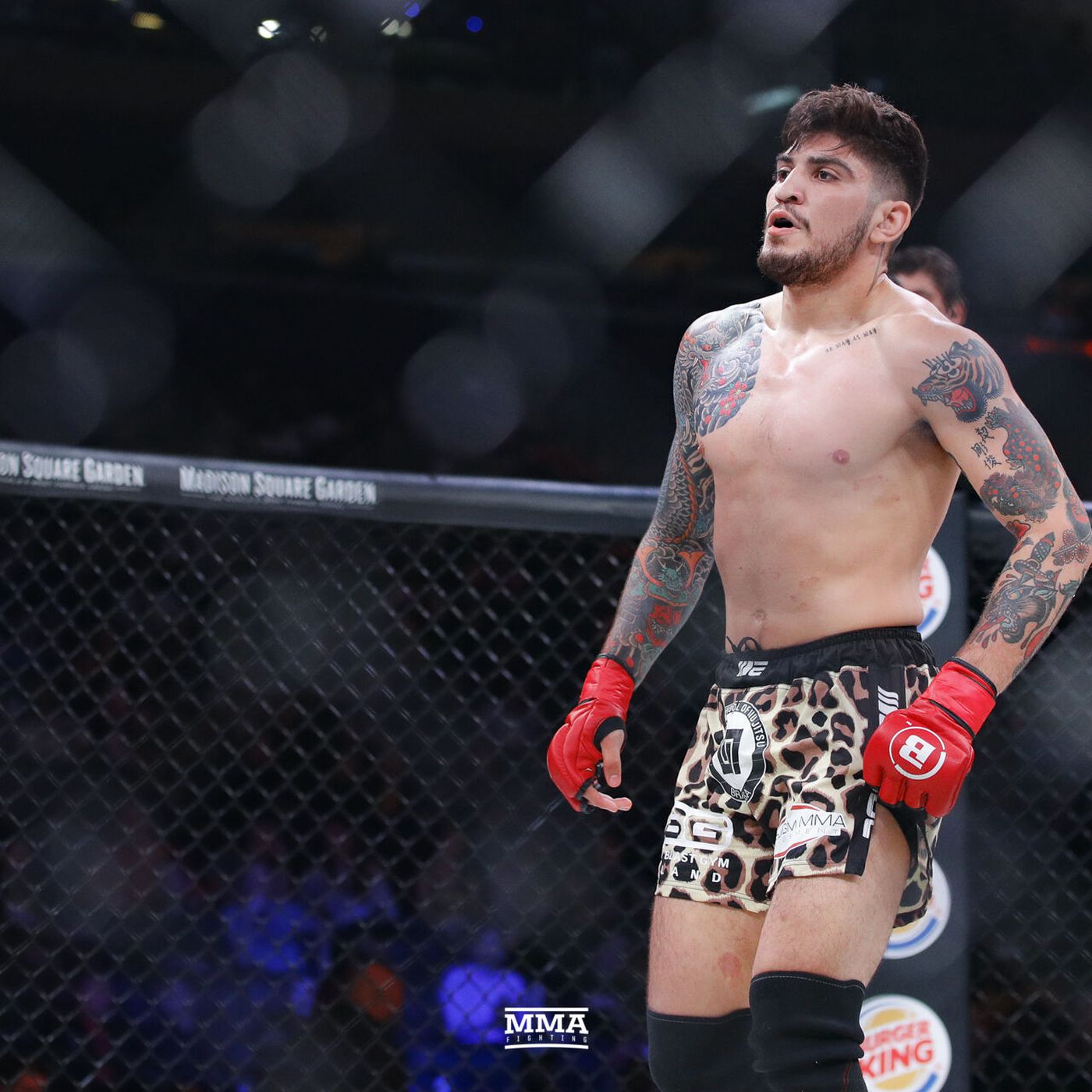 Dillon Danis