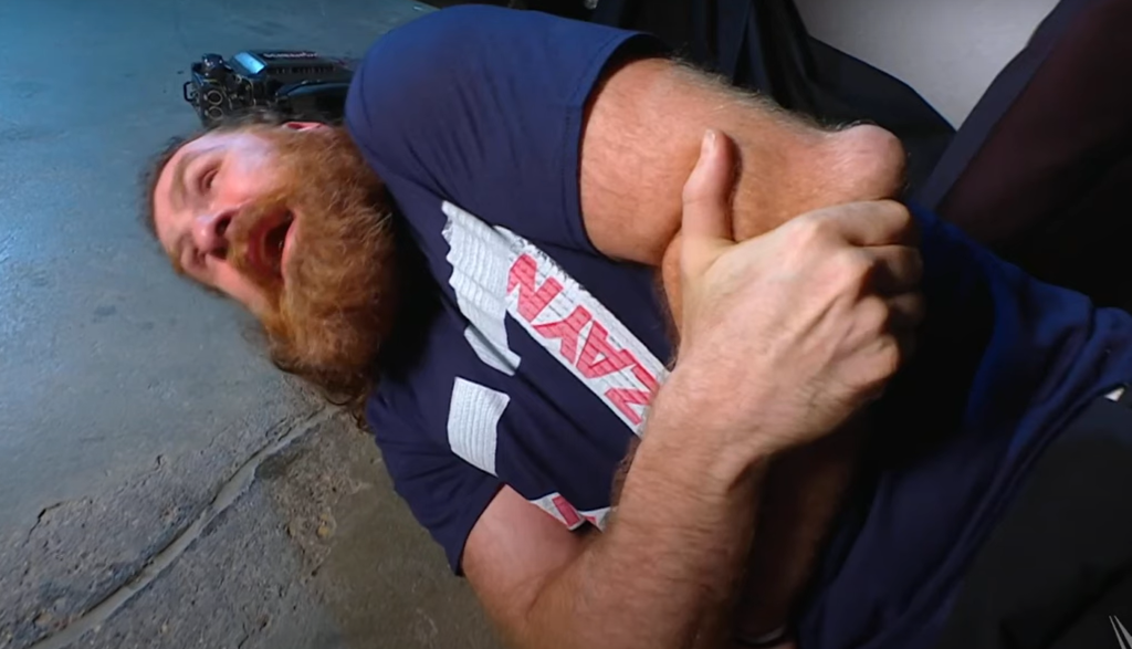 Sami Zayn