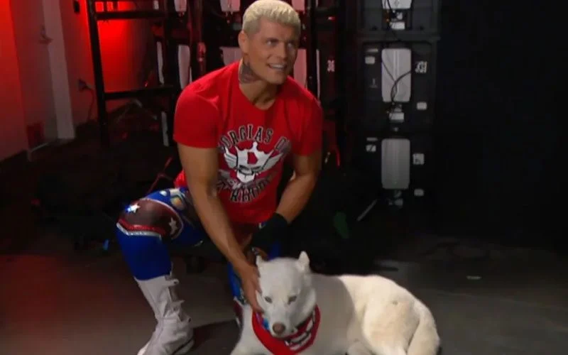 Cody Rhodes
