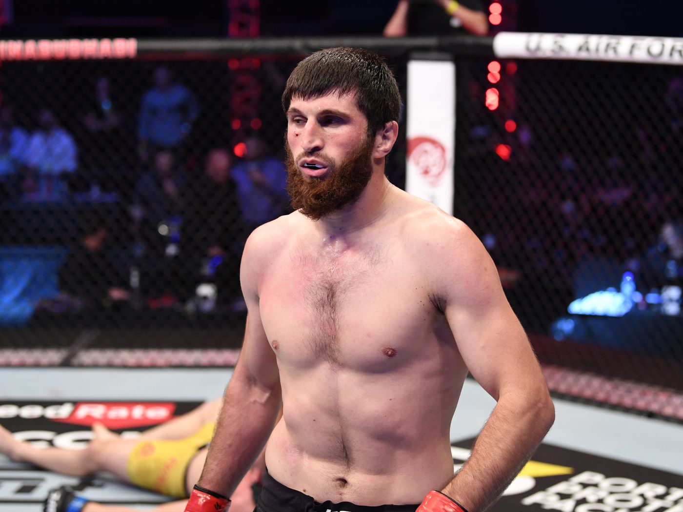 Magomed Ankalaev